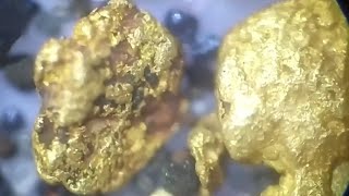 Золото: русло или терраса???? Gold Prospecting Gold Panning