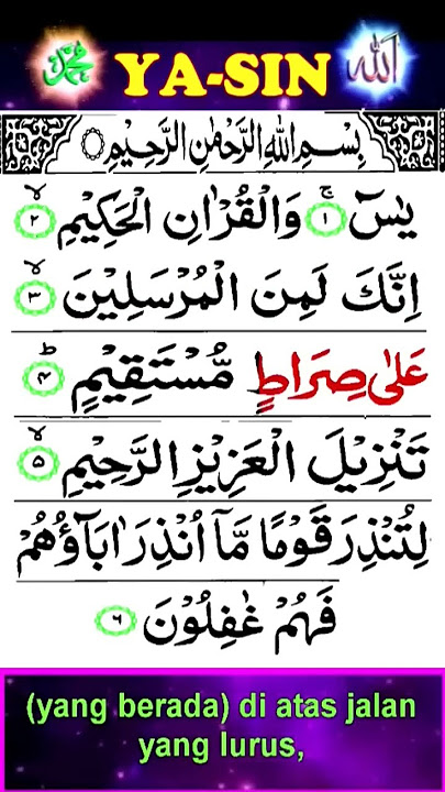 SURAT YASIN AYAT 1-6_MERDU BANGET #yasin