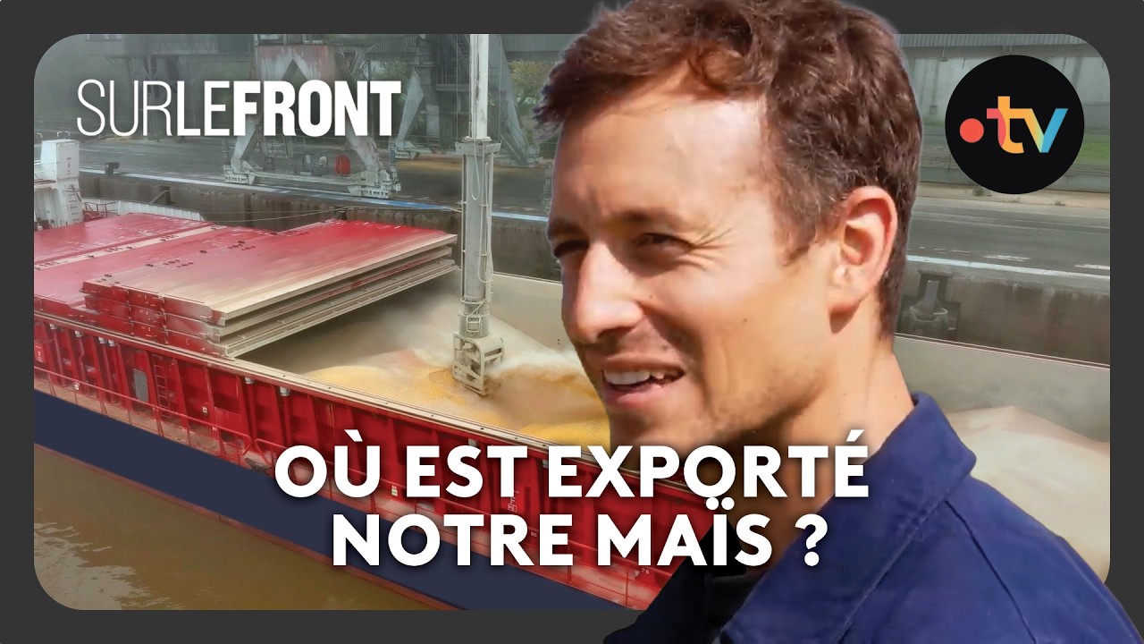 Le maïs irrigué du Sud-Ouest rejoint… un port industriel - Sur le front avec Hugo Clément