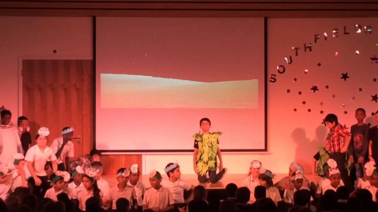 Retelling andersen The Little Fir Tree - Year 5 & 6 Christmas Production 2015 - YouTube