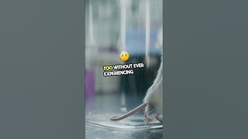 Can You Inherit Memories ? | Epigenetic Trauma Explained