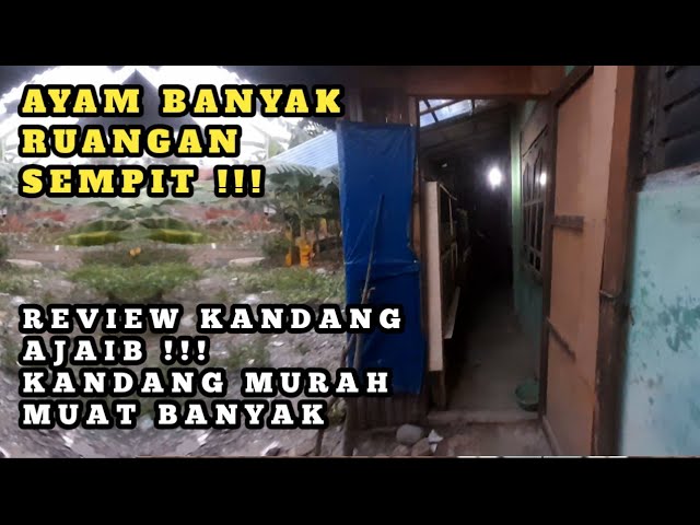 Review kandang ayam untuk ruangan sempit !!! class=