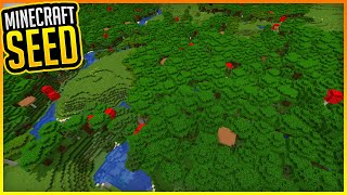 Dark Oak Forest Seed Minecraft ✨ Minecraft 1.17.1 ✨ErikOnHisPeriod