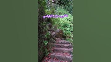 🌹💐#هزاع_البلوشي #قرآن #تلاوة_خاشعة #قرآن_كريم #تلاوة_هادئة #تلاوات