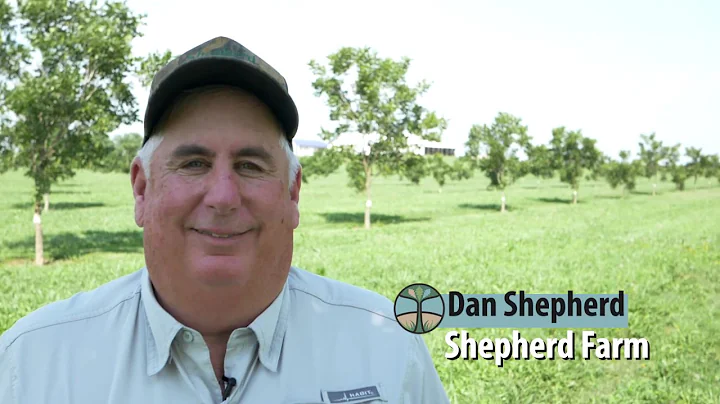 Dan Shepherd - Pioneer Agroforestry Farm Tour Vide...