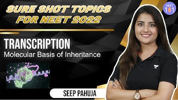 Sure Shot Topics for NEET 2022 | Transcription | Molecular Basis of Inheritance | Seep Pahuja
