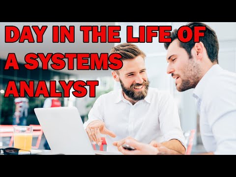 A DAY IN THE LIFE OF A SYSTEMS ANALYST