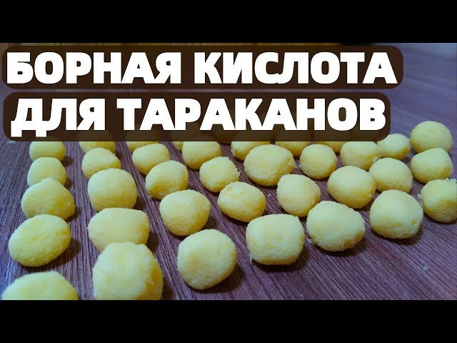 Как травить тараканов борной кислотой – 10 народных средств