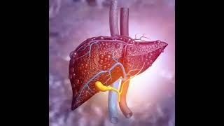 "STOP DRINKING" Let's protect the liver | Med Talks Series || Dr.Naveen Prabakaran | Dr.vijaychak...
