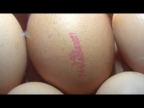 Video: Koja jaja su zdravija?