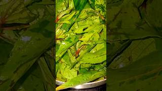 Gongura Senagapappu curry😋🤩       #shorts #ytshorts #home #curry #food