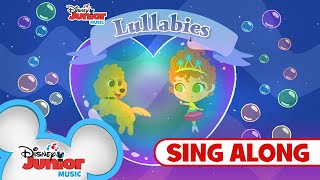 Sing When You Can Fly Again 🦋 | 🎶 Disney Junior Music Lullabies | Disney Junior