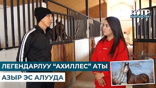 АТ ӨЛҮП КАЛСА 3 КҮНДӨП УКТАБАЙ КАЛГАН КҮНДӨР БОЛОТ  // ЧАРБАКЕР
