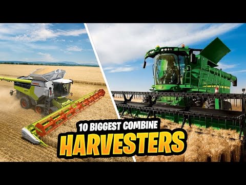 10 Biggest and