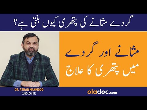 Gurda Masana Ki Pathri Ka Ilaj - Bladder Stone Symptoms Treatment - Urinary Kidney Stone Urdu/Hindi thumbnail image
