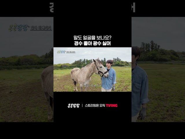 오 예능 좀 아는 말인가????ㅣTVINGㅣ#콩콩팜팜 #GBRB