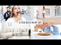 VLOG | New Apartment Visit, Cooking & Furniture Browsing | Annie Jaffrey