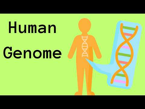 What is the Human Genome?