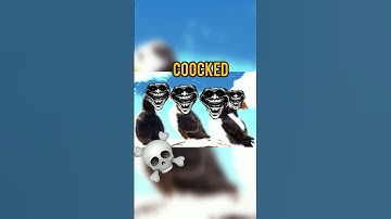 I m on a sub race against a youtuber for 100 subs pls help me win the sub race