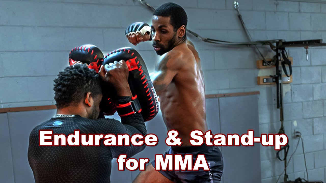 Endurance & Stand-up training for MMA