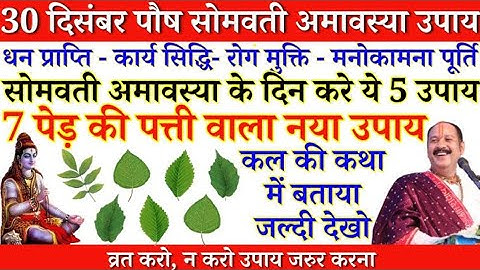 30 दिसंबर सोमवती अमावस्या के दिन करें पीपल के वृक्ष की 7 परिक्रमा ! होगी सभी मनोकामना पूर्ण#amavasya