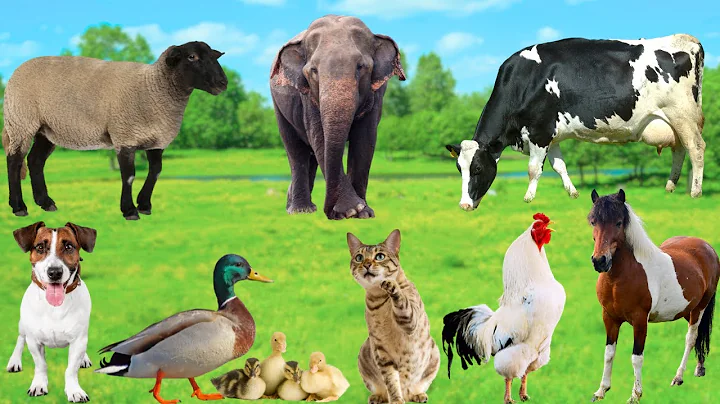 Cute Animals and Pets : Cow, Dog, Sheep, Cat, Chicken, Duck, Elephant, Horse - Cute Pet Sounds thumbnail