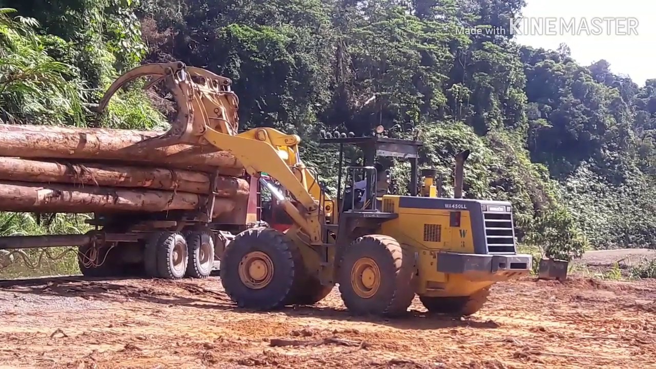 Muat kayu  balak  part1 Komatsu WA450LL Lori 38 YouTube