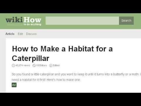 camera iphone 8 plus apk How-To Make A House For A Pet Butterfly