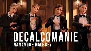 DECALCOMANIE - MAMAMOO (male key)