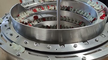 Lupatec - Automation Feeding Systems - Solutions