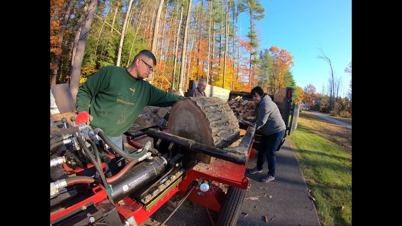 Timberwolf Alpha 6 box wedge (test)