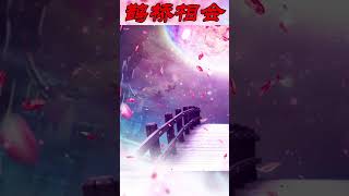  鹊桥相会 合成美景 治愈风景 玖零壹贰 NZOT 9012 shorts