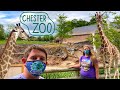 Chester Zoo Vlog June 2020