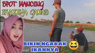 Mancing ikan di bekas galian beko | video lucu | Mancing mania | river fishing