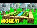 Starting My Infinite Minecraft Money Farm!