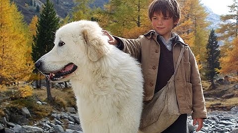 野犬と少年の心温まる物語！映画『ベル＆セバスチャン』予告編
