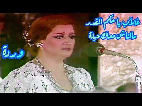 وردة في كوبليه مدمر غلا ب يا حكم القدر مالناش معاك حيلة