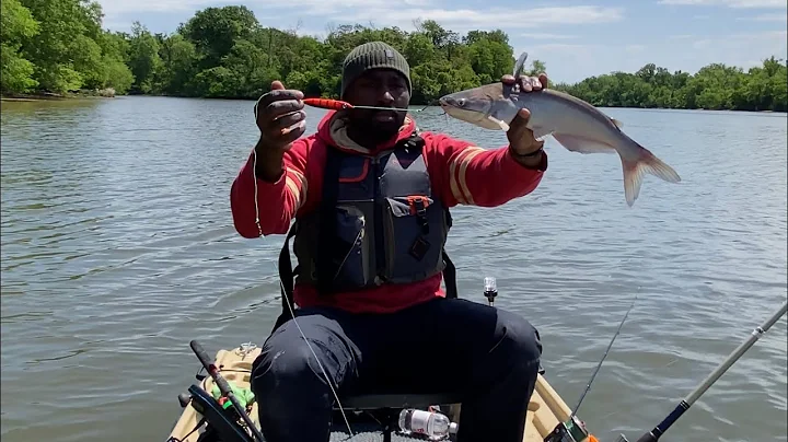 Catching a Catfish on the Demon Dragon and the Peg Float Rig, Pelican Bass Raider 10e chicken bait