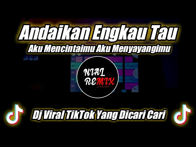 DJ ANDAIKAN ENGKAU TAU AKU MENCINTAIMU SLOW REMIX TIKTOK VIRAL TERBARU 2021 [DJ NIAL] class=