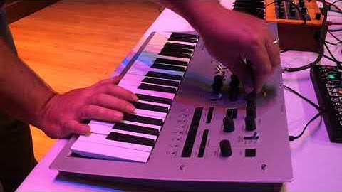 Chad Stegall - Korg Minilogue - Envelopes