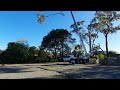 Tree Removal 11