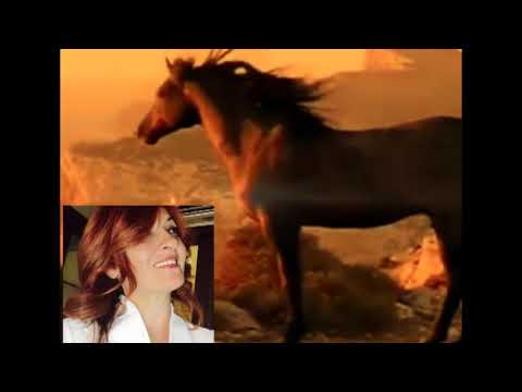 პოეტი ქეთი ატენელი --- ბზიშვილი