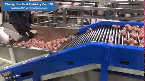 shallot grading machine, small onion sorting machine
