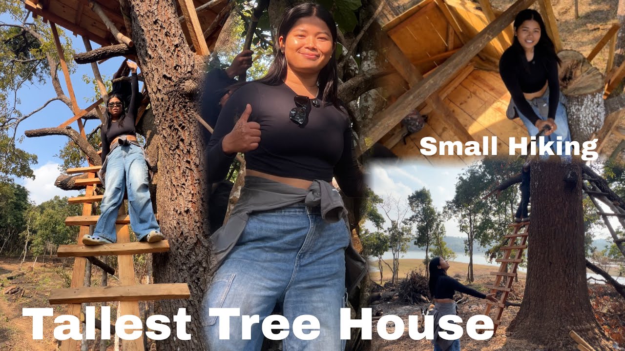 I went To a Small Hiking |  To See This Tall Tree House 🏡 | Umrangso #assam #explore #treehouse 