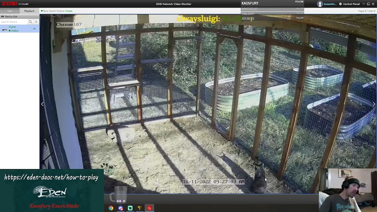 - Dark Age of Camelot Eden Free shard - Albion - Reaver?