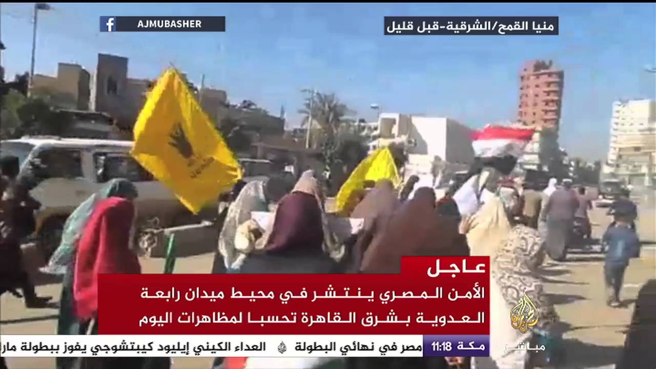 انطلاق مظاهرات في محافظات مصرية عدة  - 25 أبريل