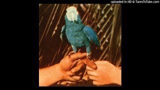 Andrew Bird - Capsized