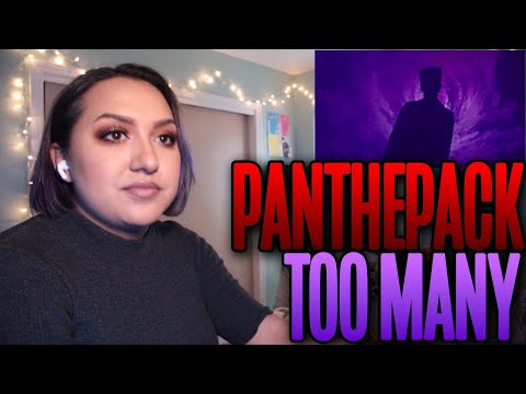 PANTHEPACK - "Too Many" Visualizer Reaction