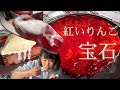 紅玉爆発のタルトタタン