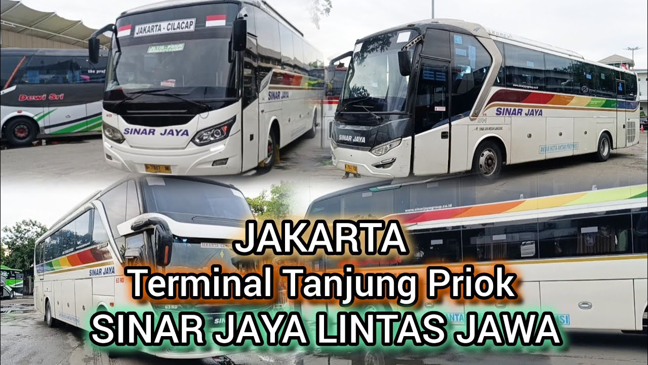 Lintas Jawa Bus Sinar Jaya Tanjung Priok